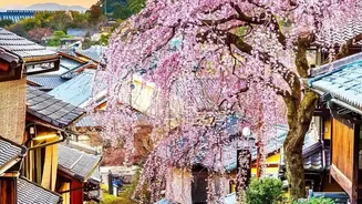 Travellers Need to Know Who Collects Japan's Higher Exit Tax