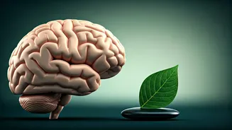 The Hidden Crisis: Why Magnesium Matters More Than You Think