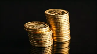 Decoding Mutual Funds: An Investor's Guide