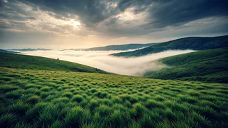 Rain Trail Explorations Peak Inside Beautiful Cloud Covered Kudremukh Highlands