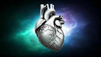 A Zodiac Journey: Decoding Your Weekly Wellness