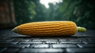 Corn Is The Low-Drama Monsoon Food Win