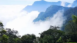 Comparing November Weather, Crowds and Sightseeing in Munnar and Ooty for Travellers