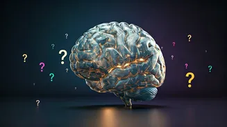 Related Stories banner