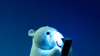 From Blue Light to Bedtime Alerts: Understanding Phones and Sleep