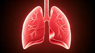 Eat These 7 Foods For Healthier Lungs