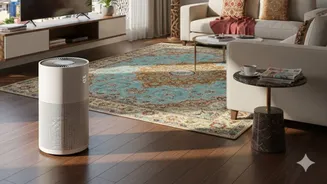Air Purifier: What to Consider Before Buying?