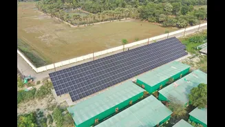 How Solar Agriculture Can Transform India's Farming Sector