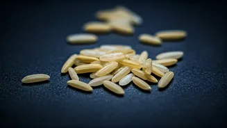 India Unveils 'Designer Rice': A Diabetes-Friendly, Protein-Packed Revolution for Your Plate!