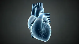 Heart Failure: Understanding the Early Warning Signs