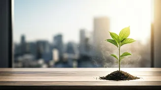 Career Starts Can Happen Beyond Metros
