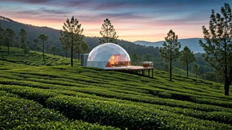 Munnar Misty Tea Plantations House Most Secluded Romantic Glamping Domes