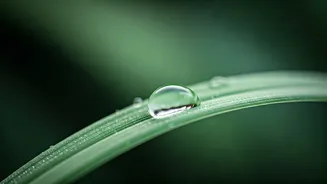 Beat the Heat: 5 Smart Ways to Conquer Workplace Facial Sweating