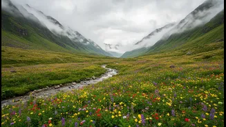 Why millennial trekking groups choose Valley of Flowers for curated high-altitude monsoon photography tours