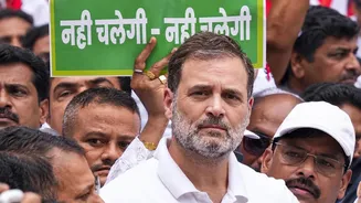 Congress built banks, BJP sells: Rahul Gandhi after IDBI sale
