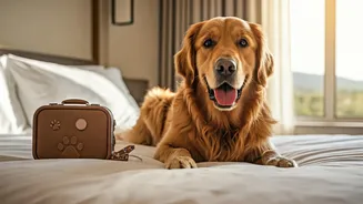 Pet-Friendly Stays Are The New Booking Filter