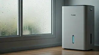 Monsoon Home Care Starts With Moisture Control