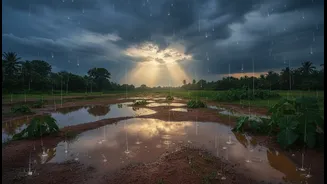 Heavy Rain Across India Makes These Monsoon Safety Tips Worth Following