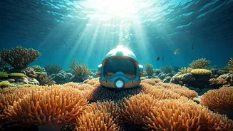 Finding Zen in the AI Storm: Sundar Pichai's Scuba Secret to Navigating Google's Tech Tides