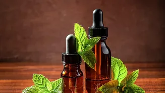 Coriander and mint stems turn into flavourful zero waste herb oil infusions