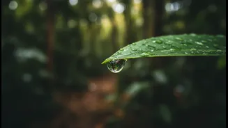 Monsoon Fitness Needs More Recovery Time When Humidity Stays High