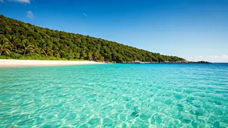 Malaysia's New Simplified Electronic Entry Triggers Massive Coastal Trip Rushes