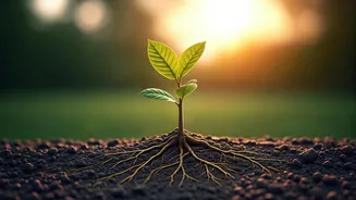 Cultivating Resilient Minds: Expert Psychiatrist's Simple Guide to Raising Mentally Strong Children