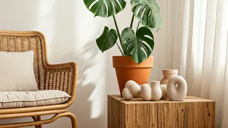 Natural Home Decor Is The Urban Wellness Signal