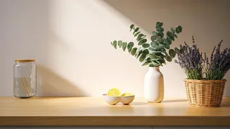 Simple Daily Habits For A Naturally Fresh Home