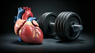 The Unseen Consequences: Lifting Weights Without Cardio