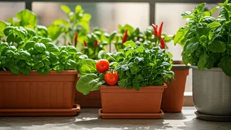 Container Gardening Makes Homegrown Food Feel Possible