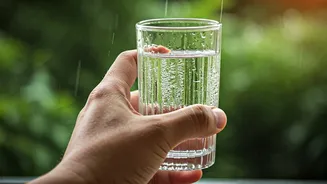 Monsoon Hydration Myths You Should Ignore