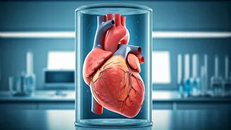 Your Heart Health Matters in Your 30s.