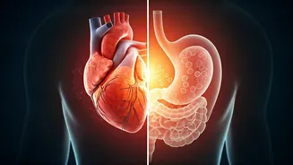 Chest Pain: Gas vs. Heart Attack - Decoding the Symptoms