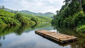 Wayanad Post-Monsoon Getaway Guide: Budget Homestays And Bamboo Rafting From Bengaluru