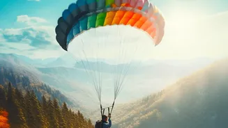 Paragliding In India: Best Places To Experience Soaring Over Scenic Mountains