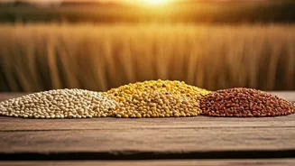 Climate Concerns Are Bringing Millets Back Into Focus