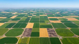 How Satellites Can Help Monitor Crops Across Large Regions