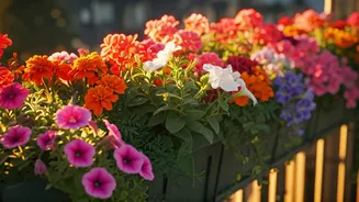 Bright Annual Flowers Make Balconies Feel Festive