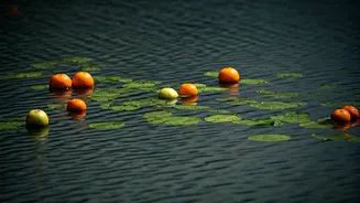 Rudravart Kund: Where Fruits Float and Bel Leaves Sink - A Divine Enigma in Uttar Pradesh