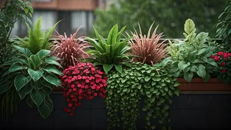 Rain-Friendly Plants Beat Fussy Balcony Experiments