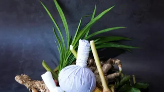 How Traditional Kerala Ayurvedic Wellness Programs Restore Vitality In Overworked Young Corporate Workers
