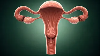 Related Stories banner