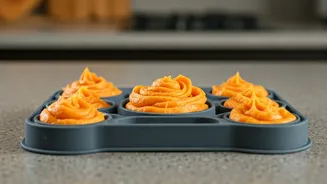Freeze Nutrient Rich Pumpkin Puree Inside Dog Enrichment Mats