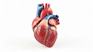 Simple Exercises for a Healthier You: Diabetes, BP, & Heart