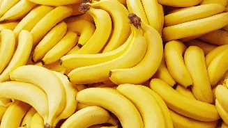 Maharashtra FDA seizes 1,394 kg chemically ripened bananas, acts against eateries