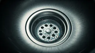 National Research Sounding The Alarm On Kitchen Microplastics