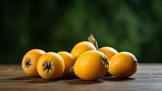 Unlocking the Wild African Loquat: 5 Amazing Health Benefits You Can't Ignore