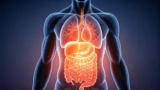 Unlock a Healthier You: 90 Days Without Late-Night Snacks