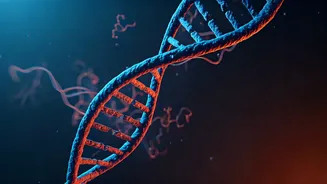 Unlocking the Secrets: How Your Genes Dictate Your Lifespan (More Than You Think!)